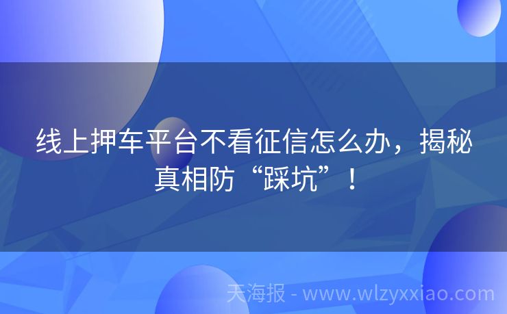 线上押车平台不看征信怎么办，揭秘真相防“踩坑”！
