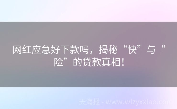 网红应急好下款吗，揭秘“快”与“险”的贷款真相！