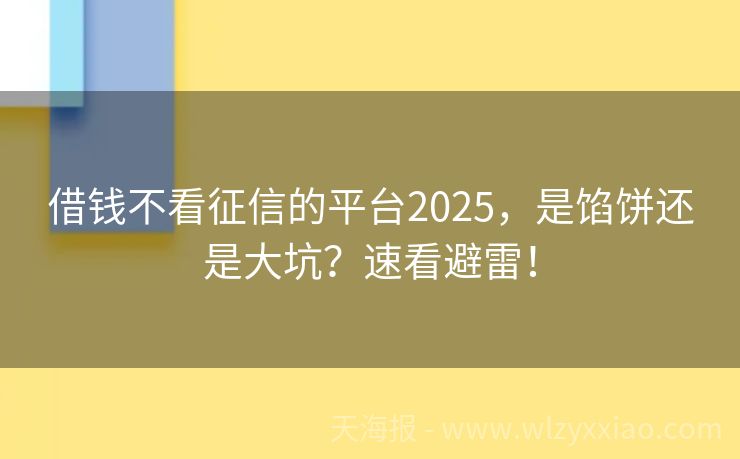 借钱不看征信的平台2025，是馅饼还是大坑？速看避雷！