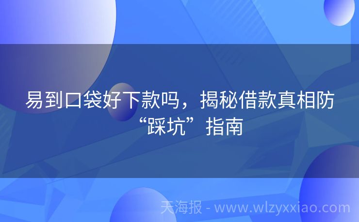 易到口袋好下款吗，揭秘借款真相防“踩坑”指南
