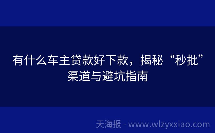 有什么车主贷款好下款，揭秘“秒批”渠道与避坑指南