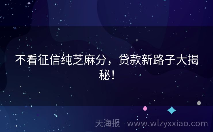 不看征信纯芝麻分，贷款新路子大揭秘！