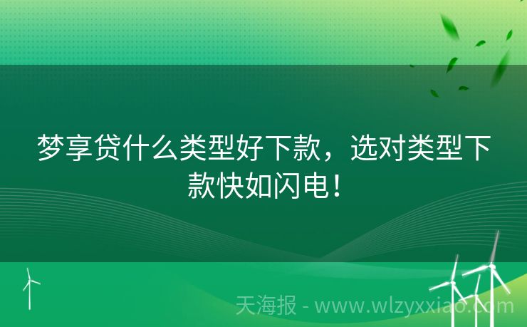 梦享贷什么类型好下款，选对类型下款快如闪电！
