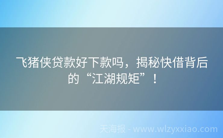 飞猪侠贷款好下款吗，揭秘快借背后的“江湖规矩”！