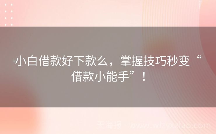 小白借款好下款么，掌握技巧秒变“借款小能手”！