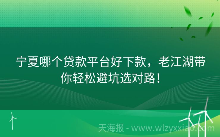 宁夏哪个贷款平台好下款，老江湖带你轻松避坑选对路！