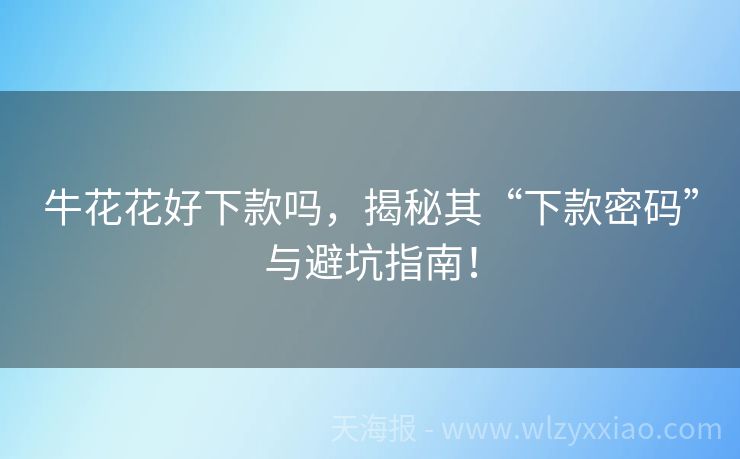 牛花花好下款吗，揭秘其“下款密码”与避坑指南！