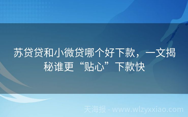 苏贷贷和小微贷哪个好下款，一文揭秘谁更“贴心”下款快