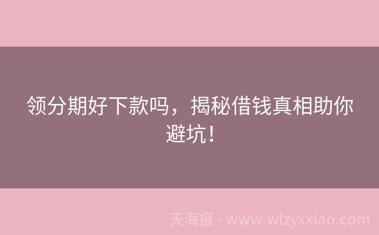 领分期好下款吗，揭秘借钱真相助你避坑！