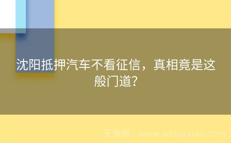 沈阳抵押汽车不看征信，真相竟是这般门道？