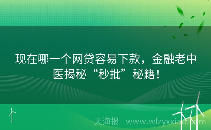 现在哪一个网贷容易下款，金融老中医揭秘“秒批”秘籍！