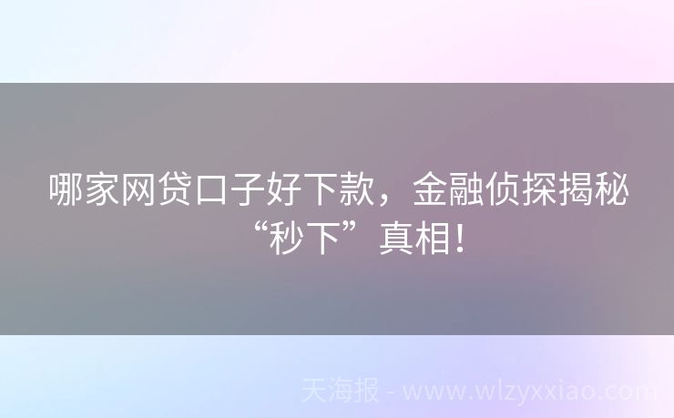 哪家网贷口子好下款，金融侦探揭秘“秒下”真相！