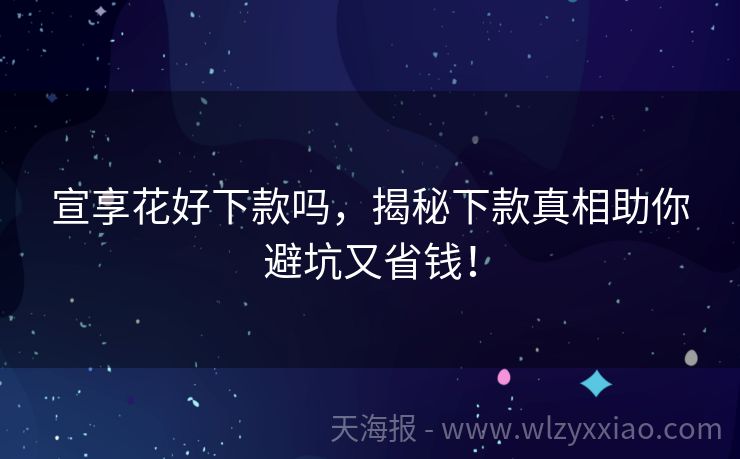 宣享花好下款吗，揭秘下款真相助你避坑又省钱！