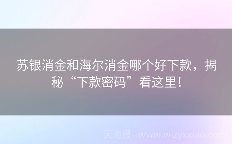 苏银消金和海尔消金哪个好下款，揭秘“下款密码”看这里！