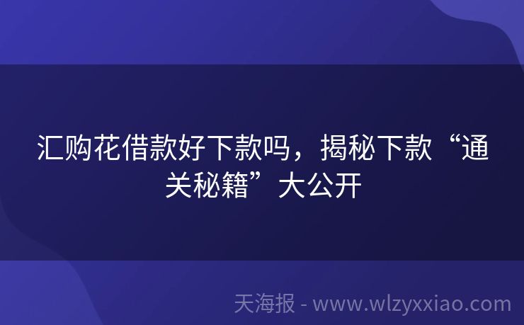 汇购花借款好下款吗，揭秘下款“通关秘籍”大公开