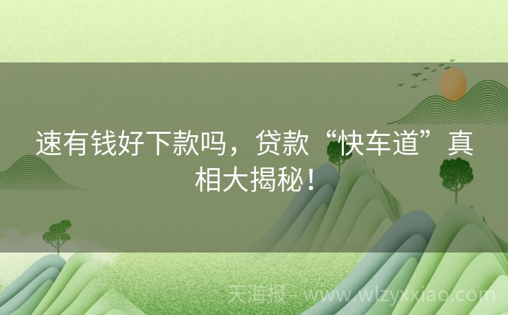 速有钱好下款吗，贷款“快车道”真相大揭秘！