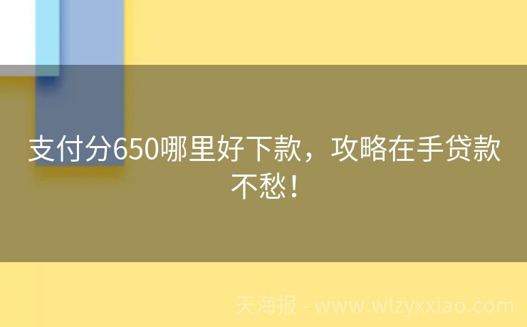 支付分650哪里好下款，攻略在手贷款不愁！