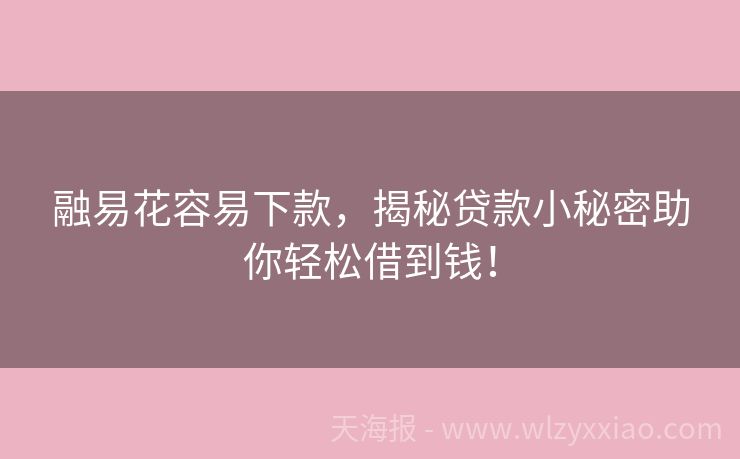 融易花容易下款，揭秘贷款小秘密助你轻松借到钱！