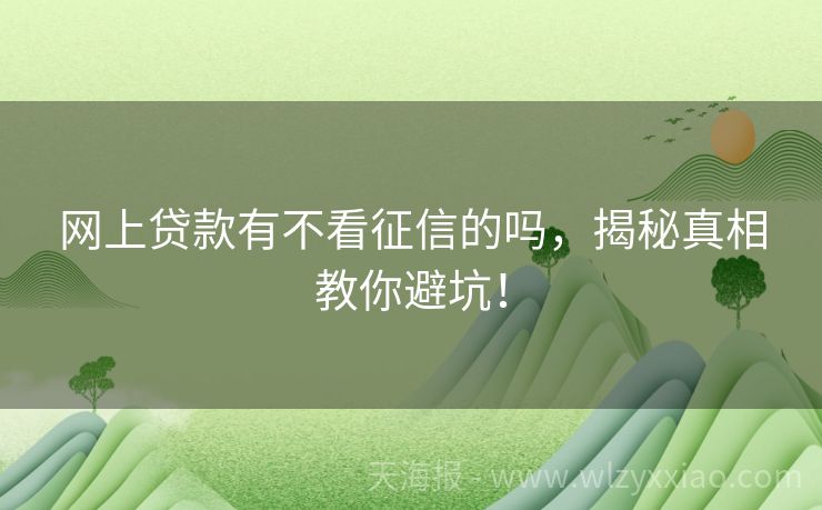 网上贷款有不看征信的吗，揭秘真相教你避坑！