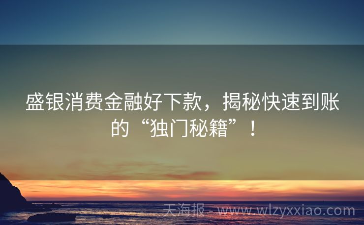 盛银消费金融好下款，揭秘快速到账的“独门秘籍”！