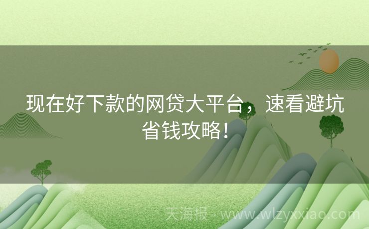 现在好下款的网贷大平台，速看避坑省钱攻略！