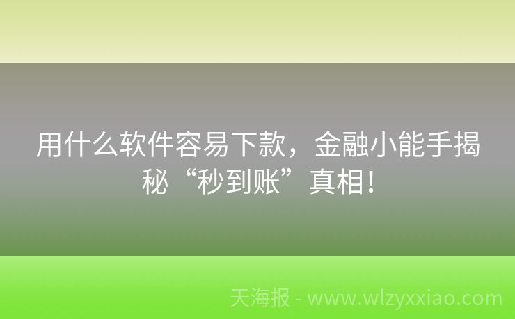 用什么软件容易下款，金融小能手揭秘“秒到账”真相！