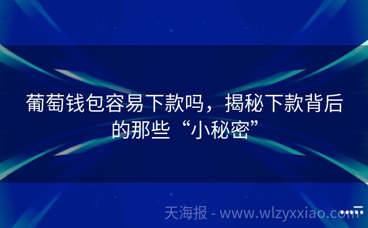 葡萄钱包容易下款吗，揭秘下款背后的那些“小秘密”