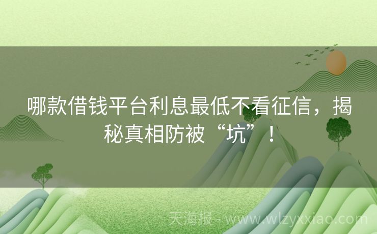 哪款借钱平台利息最低不看征信，揭秘真相防被“坑”！