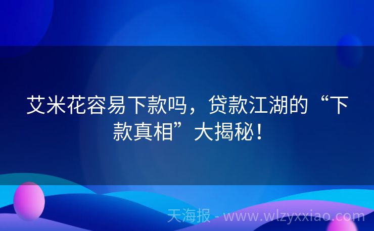 艾米花容易下款吗，贷款江湖的“下款真相”大揭秘！