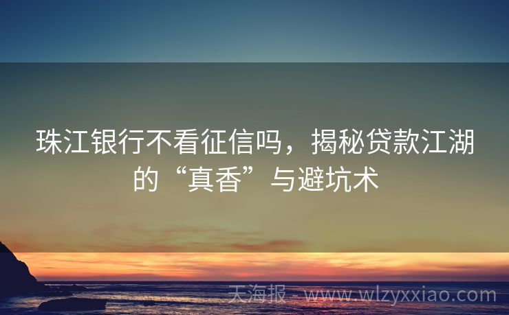 珠江银行不看征信吗，揭秘贷款江湖的“真香”与避坑术