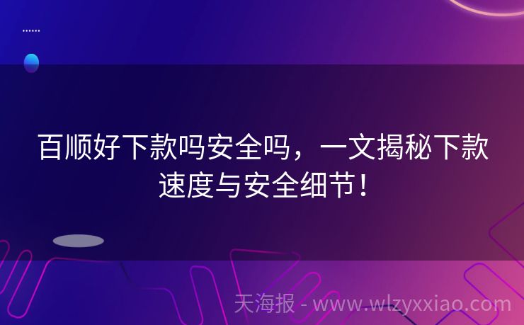 百顺好下款吗安全吗，一文揭秘下款速度与安全细节！
