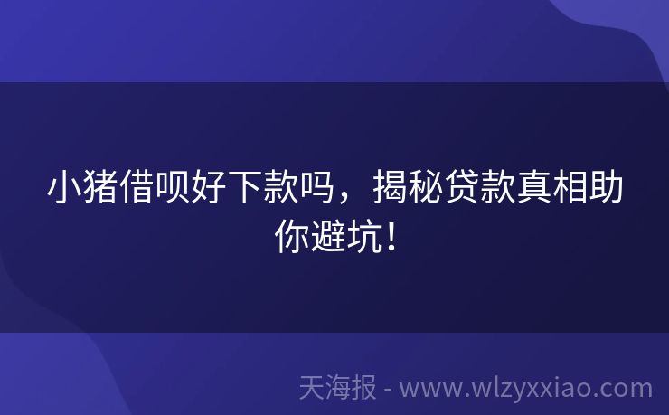 小猪借呗好下款吗，揭秘贷款真相助你避坑！