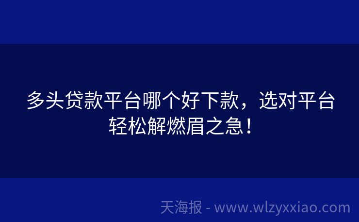 多头贷款平台哪个好下款，选对平台轻松解燃眉之急！