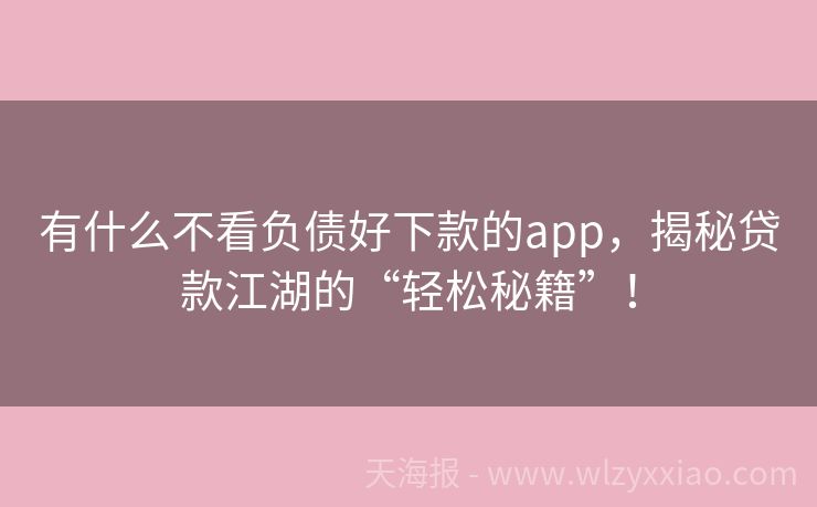 有什么不看负债好下款的app，揭秘贷款江湖的“轻松秘籍”！