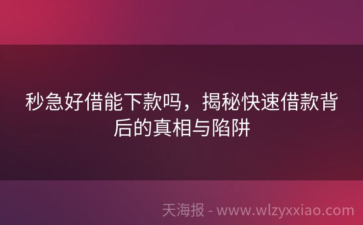 秒急好借能下款吗，揭秘快速借款背后的真相与陷阱