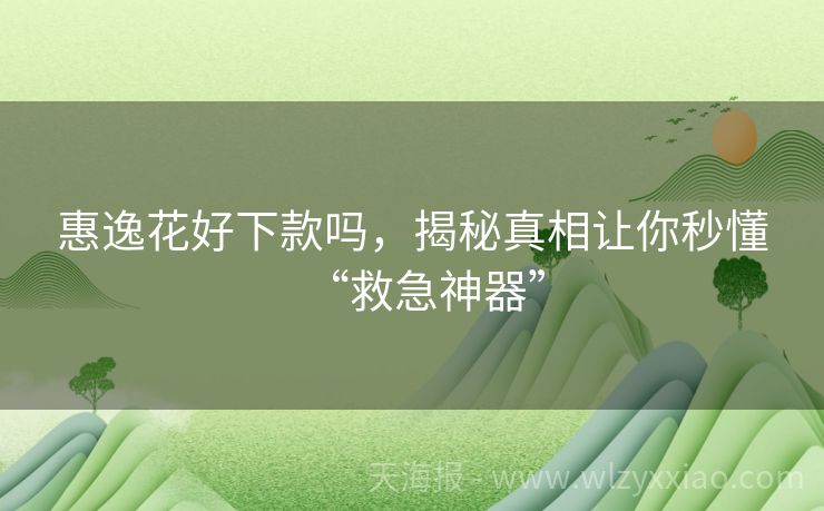 惠逸花好下款吗，揭秘真相让你秒懂“救急神器”