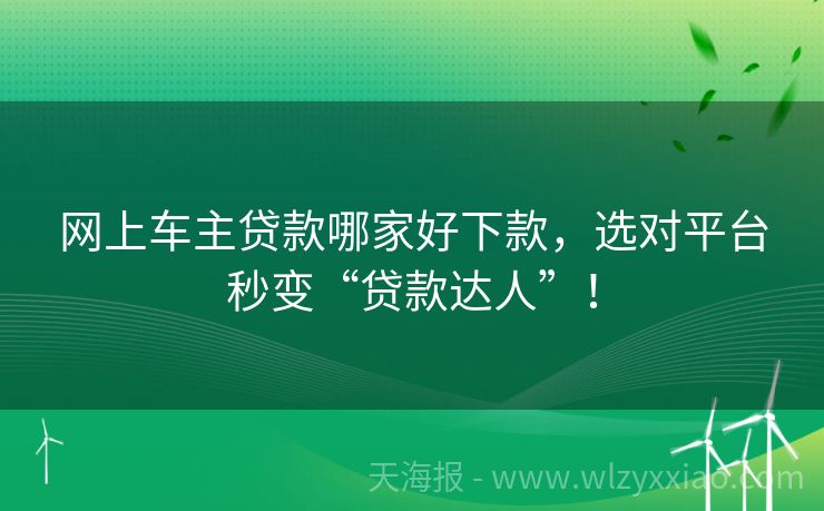 网上车主贷款哪家好下款，选对平台秒变“贷款达人”！