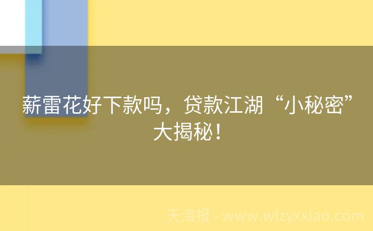 薪雷花好下款吗，贷款江湖“小秘密”大揭秘！