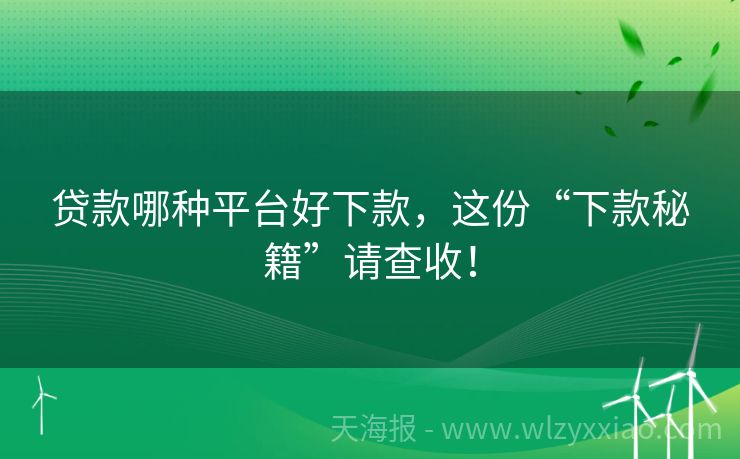 贷款哪种平台好下款，这份“下款秘籍”请查收！