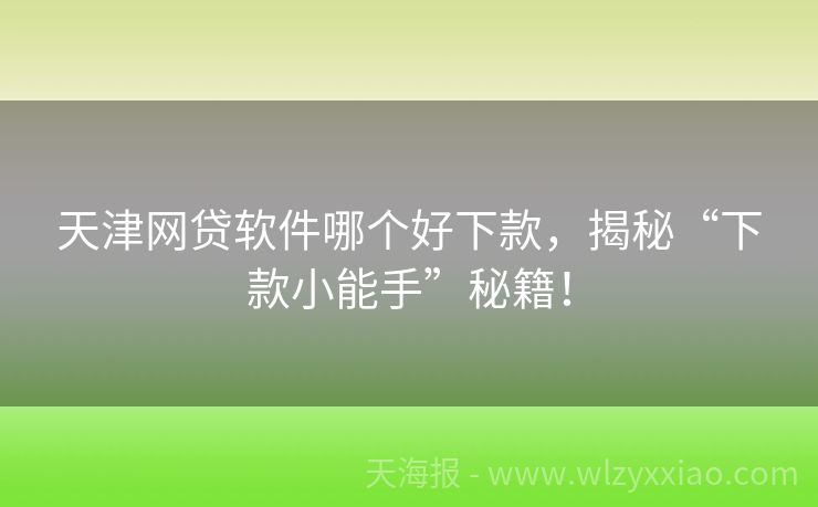 天津网贷软件哪个好下款，揭秘“下款小能手”秘籍！
