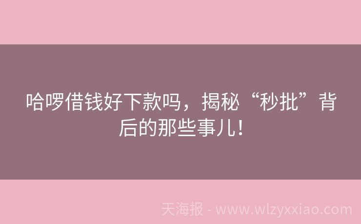 哈啰借钱好下款吗，揭秘“秒批”背后的那些事儿！