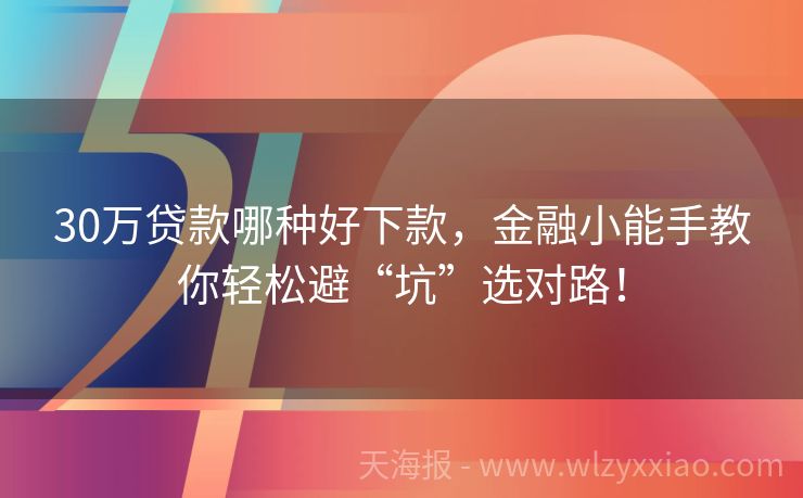 30万贷款哪种好下款，金融小能手教你轻松避“坑”选对路！