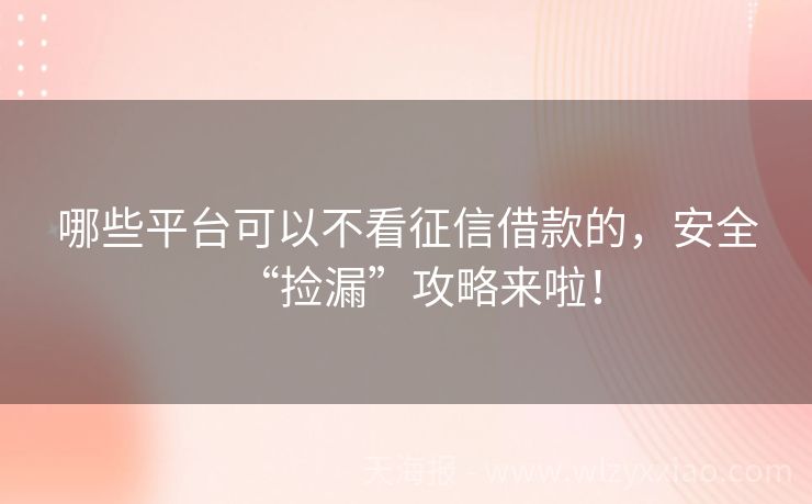 哪些平台可以不看征信借款的，安全“捡漏”攻略来啦！