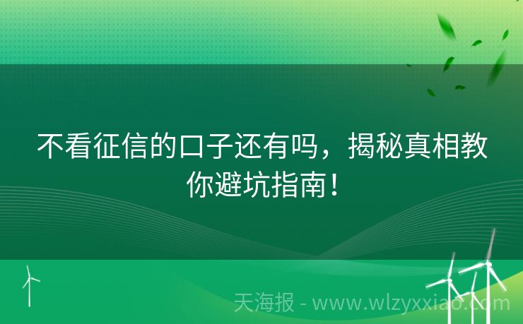 不看征信的口子还有吗，揭秘真相教你避坑指南！