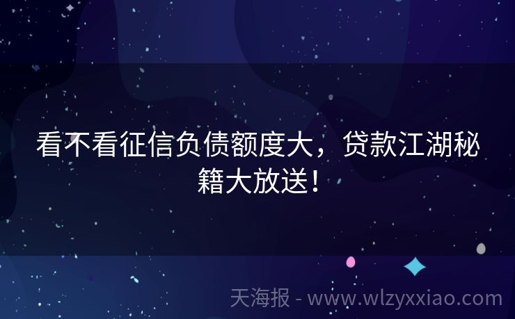 看不看征信负债额度大，贷款江湖秘籍大放送！