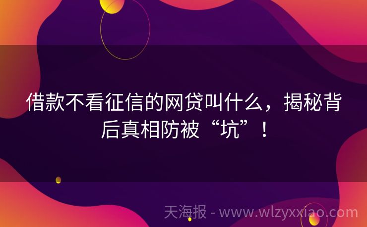 借款不看征信的网贷叫什么，揭秘背后真相防被“坑”！