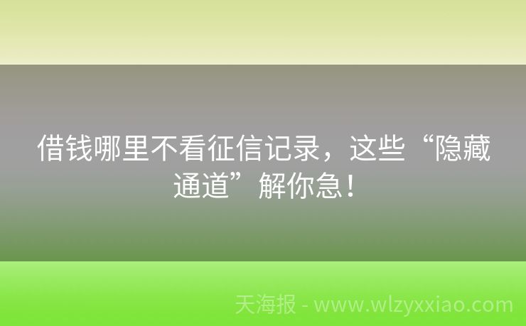 借钱哪里不看征信记录，这些“隐藏通道”解你急！