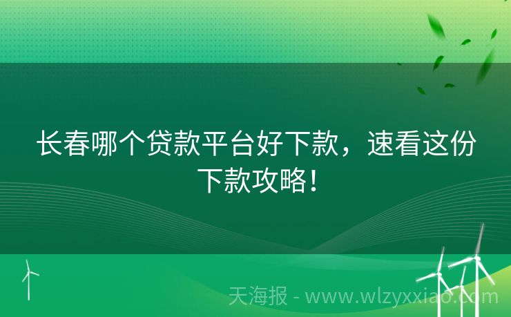 长春哪个贷款平台好下款，速看这份下款攻略！