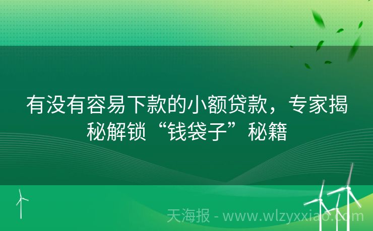 有没有容易下款的小额贷款，专家揭秘解锁“钱袋子”秘籍