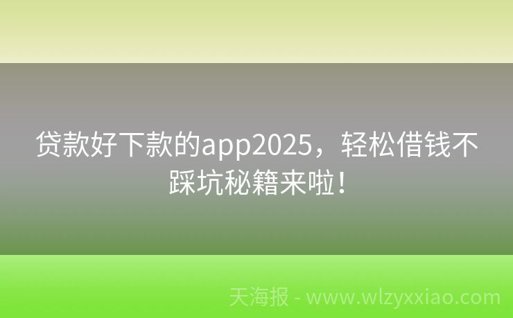 贷款好下款的app2025，轻松借钱不踩坑秘籍来啦！